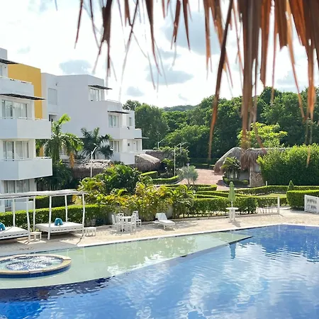 Santo Manglar Cartagena Life Wellness Spa Hotel-2